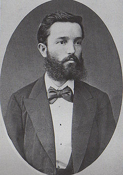 Димитрије - Мита Ракић (Мионица, 15/27. октобар 1846 — Београд, 5/17. март 1890) је био српски књижевник, преводилац, политичар и економиста, министар финансија.